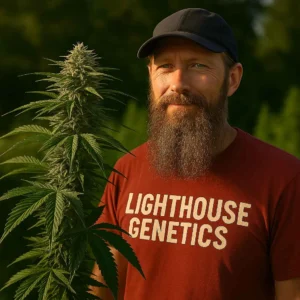 Buying Cannabis Seeds Online