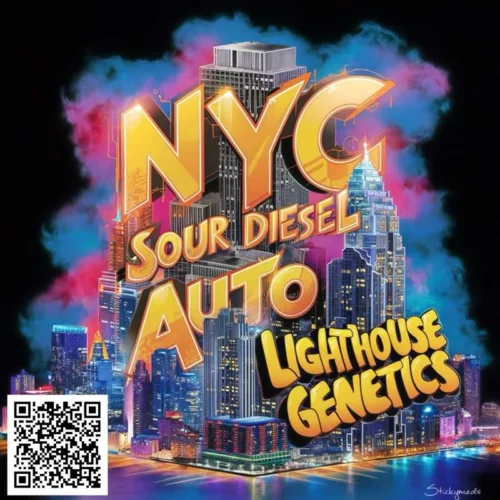 NYC Sour Diesel autoflower seeds