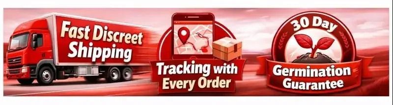 Tracking with every order - discreet shipping from Lighthouse Genetics