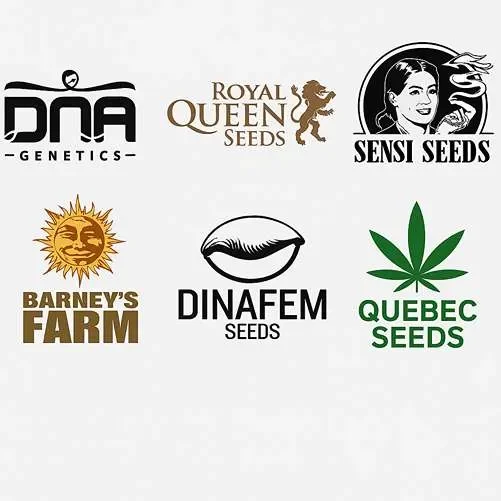 Seed Companies