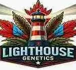 lighthouse genetics