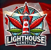 lighthouse_genetics logo