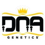 DNA genetics