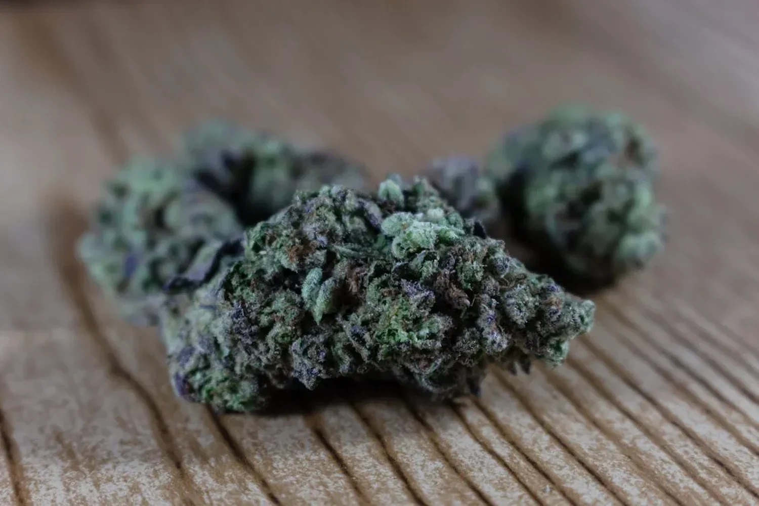 Cannabis seed generations F1 F2 F3 F4 explained