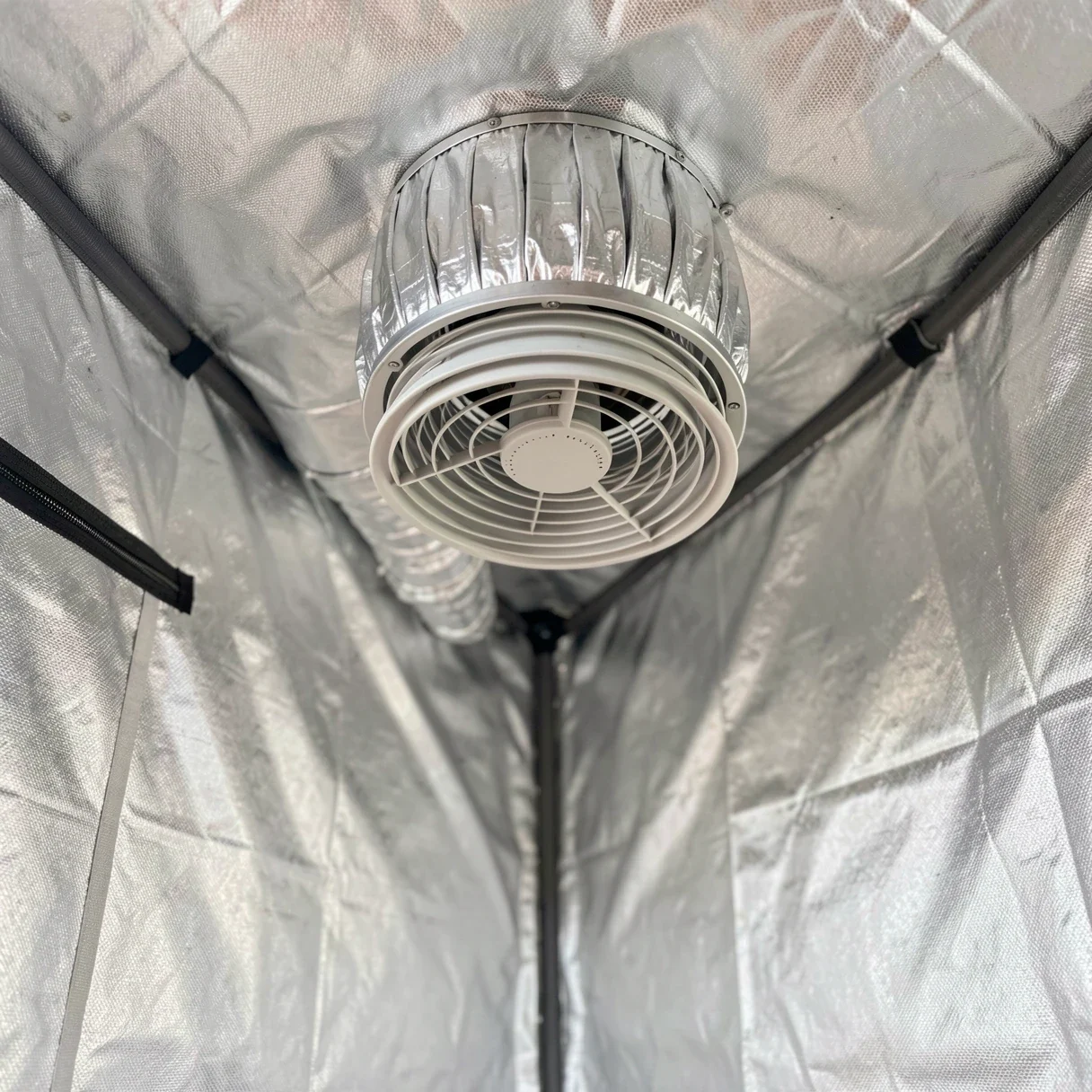 Exhaust fan and ducting venting heat from the top corner of a grow tent