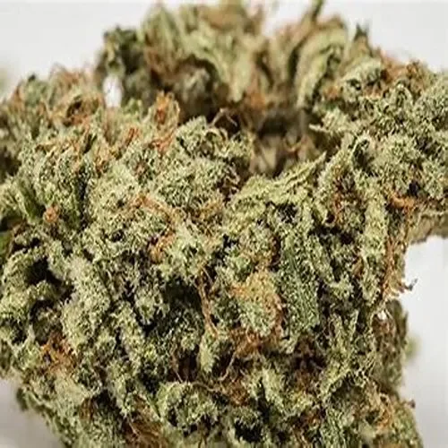 LA Kush AutoFlower