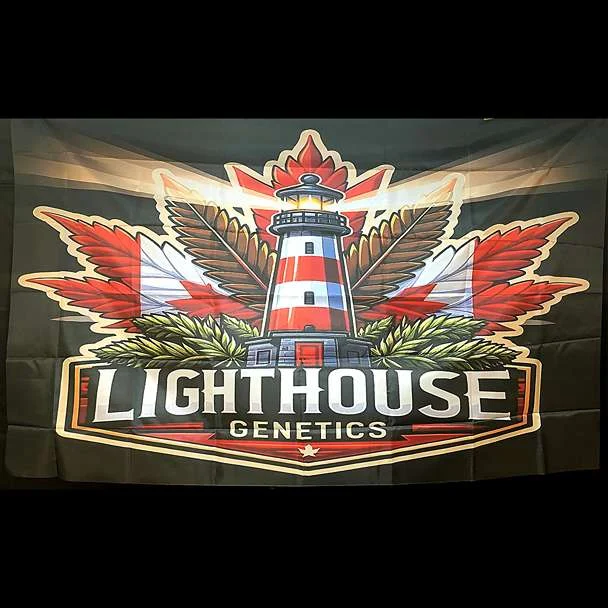 Lighthouse Genetics 4×6 flag