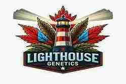 lighthouse genetics